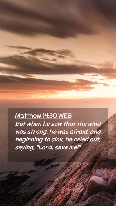 Picture 02 - Matthew 14:30 WEB Mobile Phone Wallpaper - But when he saw that the wind was strong, he was - Mobile Bible Verse Wallpaper