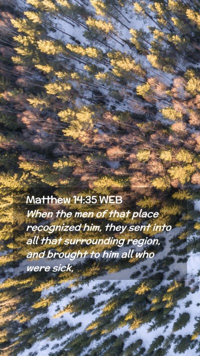 Picture 02 - Matthew 14:35 WEB Mobile Phone Wallpaper - When the men of that place recognized him, they - Mobile Bible Verse Wallpaper