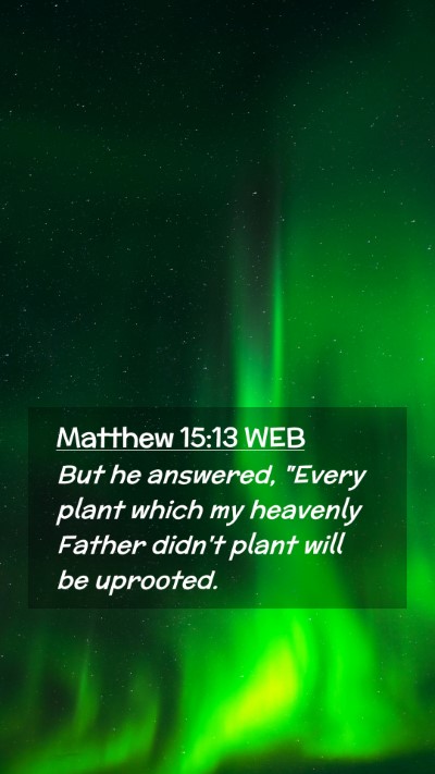 Picture 02 - Matthew 15:13 WEB Mobile Phone Wallpaper - But he answered, 