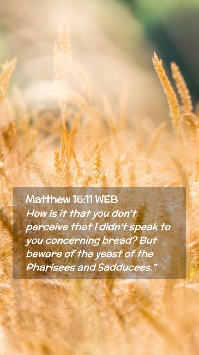 Picture 02 - Matthew 16:11 WEB Mobile Phone Wallpaper - How is it that you don't perceive that I didn't - Mobile Bible Verse Wallpaper