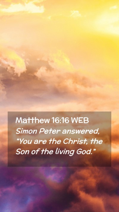 Picture 02 - Matthew 16:16 WEB Mobile Phone Wallpaper - Simon Peter answered, 