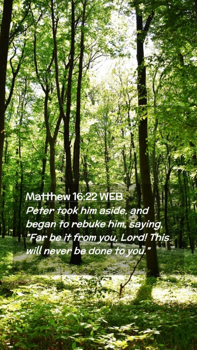 Picture 02 - Matthew 16:22 WEB Mobile Phone Wallpaper - Peter took him aside, and began to rebuke him, - Mobile Bible Verse Wallpaper