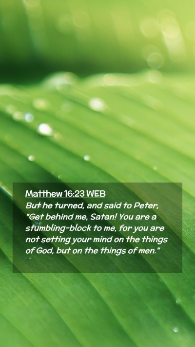 Picture 02 - Matthew 16:23 WEB Mobile Phone Wallpaper - But he turned, and said to Peter, 