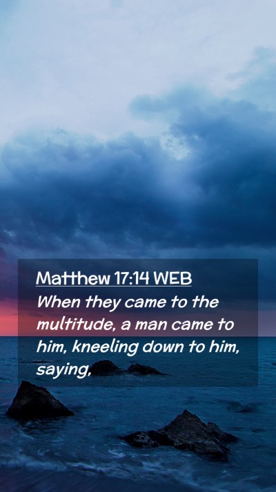 Picture 02 - Matthew 17:14 WEB Mobile Phone Wallpaper - When they came to the multitude, a man came to - Mobile Bible Verse Wallpaper