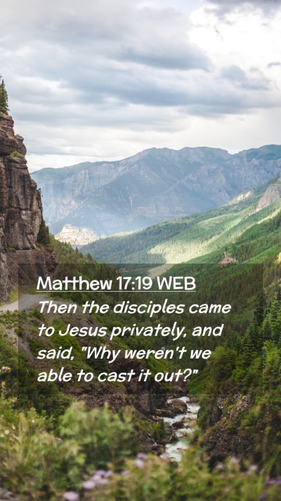 Picture 02 - Matthew 17:19 WEB Mobile Phone Wallpaper - Then the disciples came to Jesus privately, and - Mobile Bible Verse Wallpaper