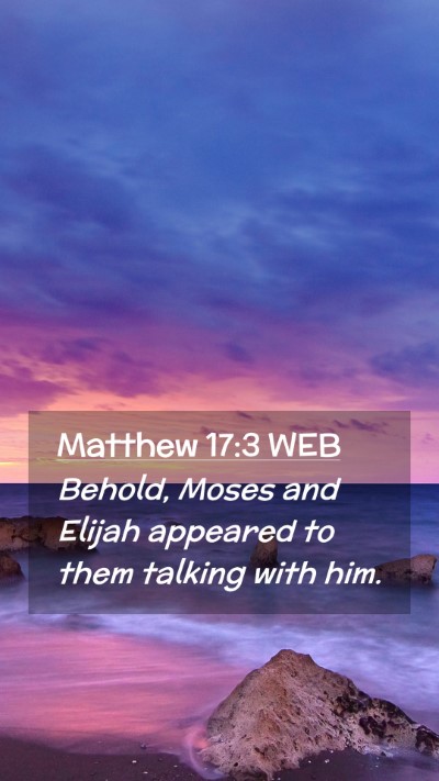 Picture 02 - Matthew 17:3 WEB Mobile Phone Wallpaper - Behold, Moses and Elijah appeared to them talking - Mobile Bible Verse Wallpaper