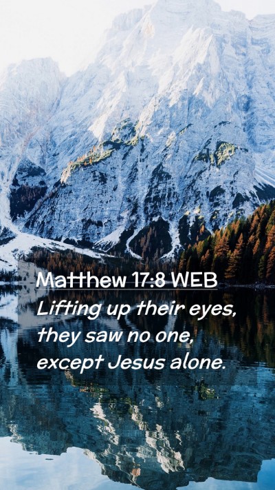 Picture 02 - Matthew 17:8 WEB Mobile Phone Wallpaper - Lifting up their eyes, they saw no one, except - Mobile Bible Verse Wallpaper