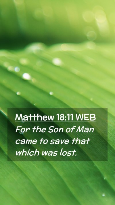 Picture 02 - Matthew 18:11 WEB Mobile Phone Wallpaper - For the Son of Man came to save that which was - Mobile Bible Verse Wallpaper
