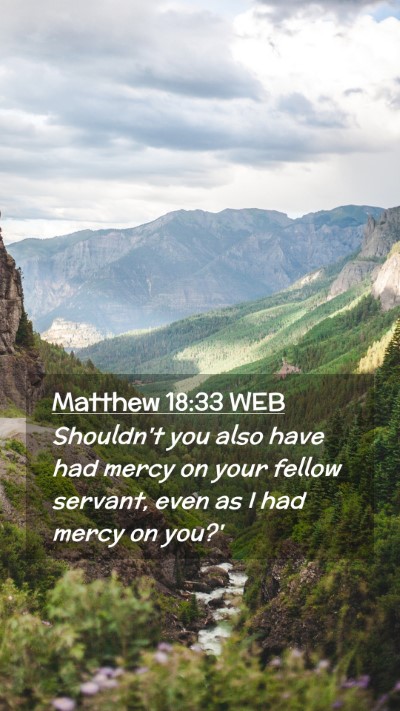 Picture 02 - Matthew 18:33 WEB Mobile Phone Wallpaper - Shouldn't you also have had mercy on your fellow - Mobile Bible Verse Wallpaper