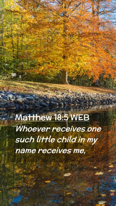 Picture 02 - Matthew 18:5 WEB Mobile Phone Wallpaper - Whoever receives one such little child in my name - Mobile Bible Verse Wallpaper