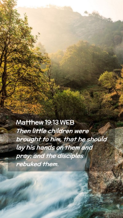 Picture 02 - Matthew 19:13 WEB Mobile Phone Wallpaper - Then little children were brought to him, that he - Mobile Bible Verse Wallpaper