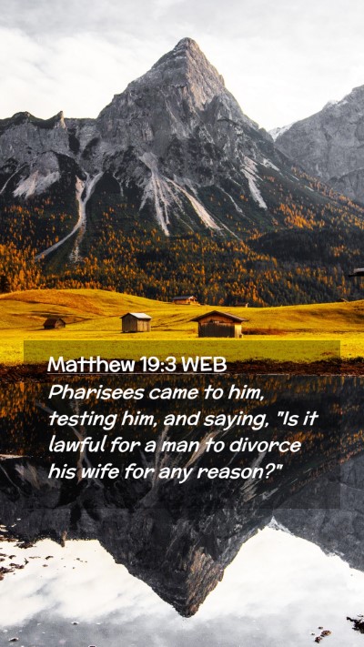 Picture 02 - Matthew 19:3 WEB Mobile Phone Wallpaper - Pharisees came to him, testing him, and saying, - Mobile Bible Verse Wallpaper