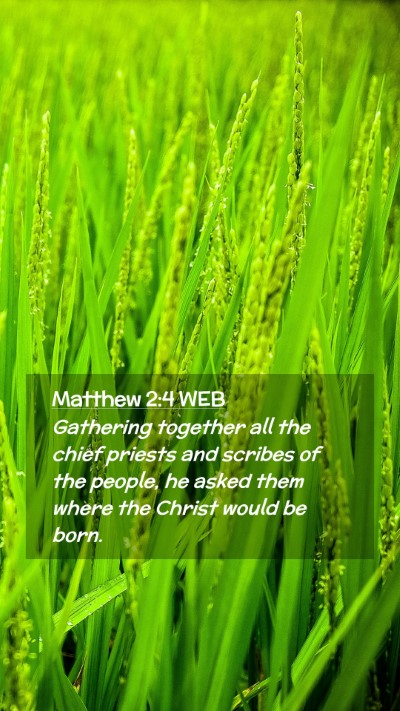 Picture 02 - Matthew 2:4 WEB Mobile Phone Wallpaper - Gathering together all the chief priests and - Mobile Bible Verse Wallpaper