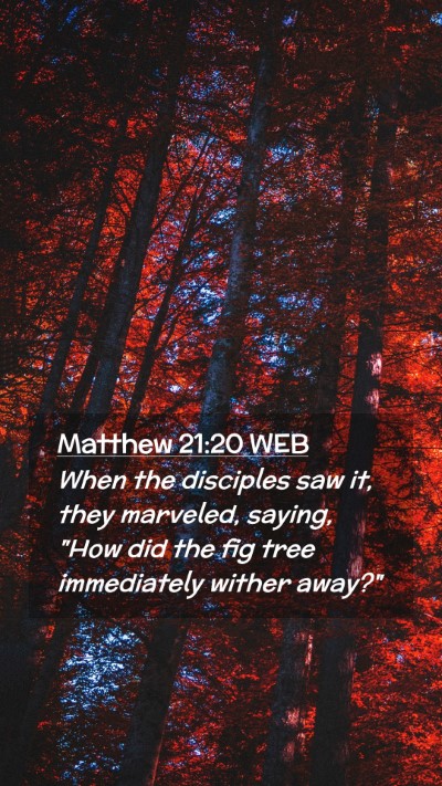 Picture 02 - Matthew 21:20 WEB Mobile Phone Wallpaper - When the disciples saw it, they marveled, saying, - Mobile Bible Verse Wallpaper