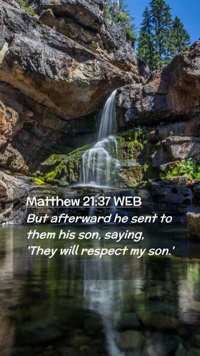 Picture 02 - Matthew 21:37 WEB Mobile Phone Wallpaper - But afterward he sent to them his son, saying, - Mobile Bible Verse Wallpaper
