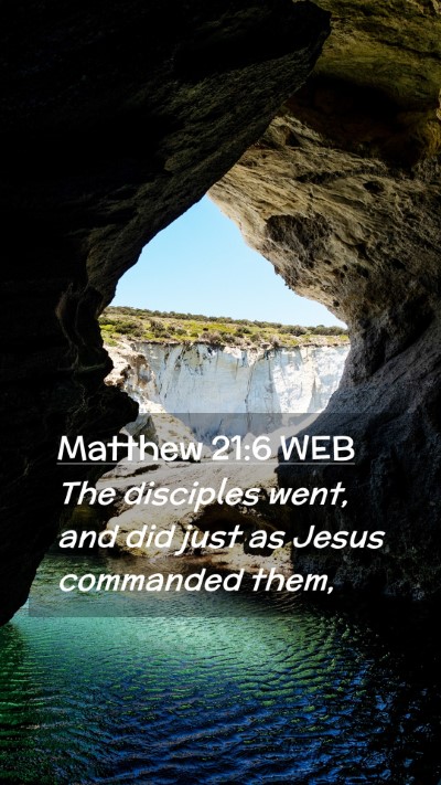 Picture 02 - Matthew 21:6 WEB Mobile Phone Wallpaper - The disciples went, and did just as Jesus - Mobile Bible Verse Wallpaper