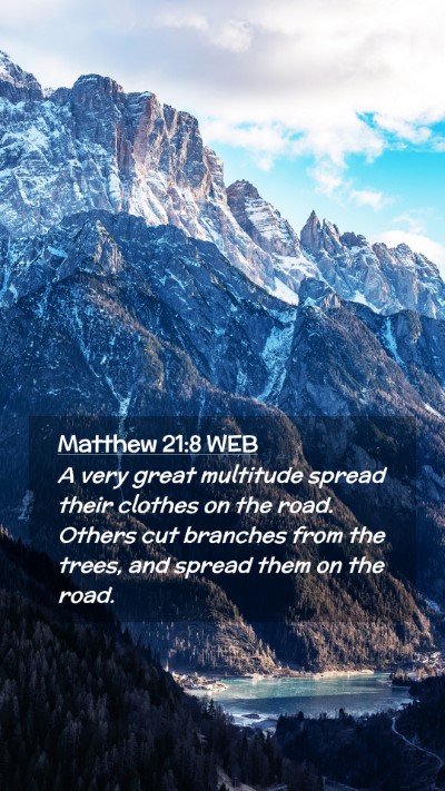 Picture 02 - Matthew 21:8 WEB Mobile Phone Wallpaper - A very great multitude spread their clothes on - Mobile Bible Verse Wallpaper