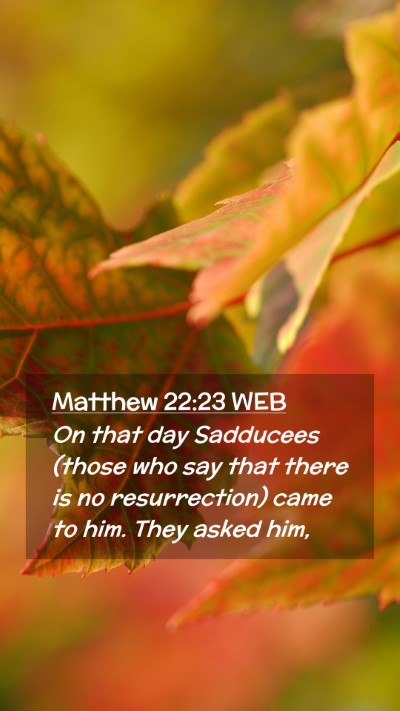 Picture 02 - Matthew 22:23 WEB Mobile Phone Wallpaper - On that day Sadducees (those who say that there - Mobile Bible Verse Wallpaper