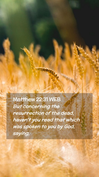 Picture 02 - Matthew 22:31 WEB Mobile Phone Wallpaper - But concerning the resurrection of the dead, - Mobile Bible Verse Wallpaper