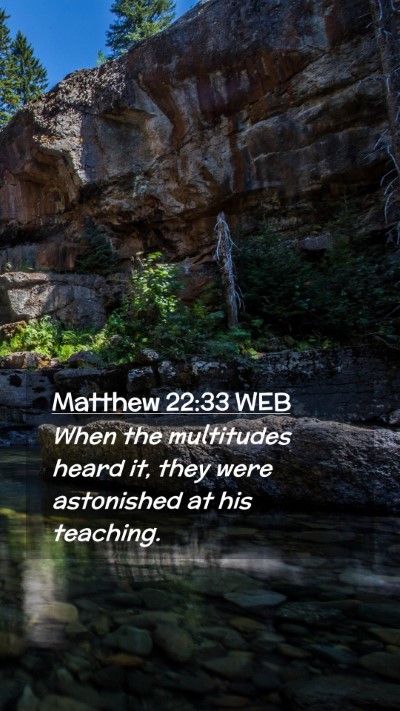 Picture 02 - Matthew 22:33 WEB Mobile Phone Wallpaper - When the multitudes heard it, they were - Mobile Bible Verse Wallpaper