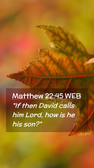 Picture 02 - Matthew 22:45 WEB Mobile Phone Wallpaper - 