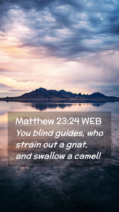 Picture 02 - Matthew 23:24 WEB Mobile Phone Wallpaper - You blind guides, who strain out a gnat, and - Mobile Bible Verse Wallpaper