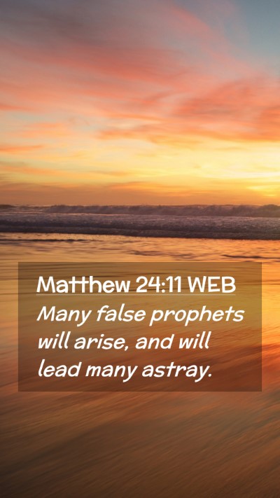 Picture 02 - Matthew 24:11 WEB Mobile Phone Wallpaper - Many false prophets will arise, and will lead - Mobile Bible Verse Wallpaper