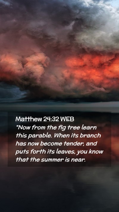 Picture 02 - Matthew 24:32 WEB Mobile Phone Wallpaper - 