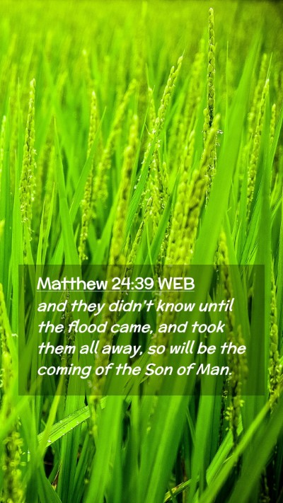 Picture 02 - Matthew 24:39 WEB Mobile Phone Wallpaper - and they didn't know until the flood came, and - Mobile Bible Verse Wallpaper
