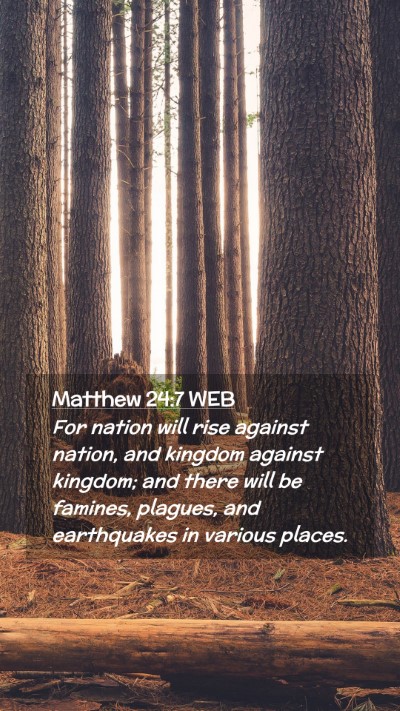 Picture 02 - Matthew 24:7 WEB Mobile Phone Wallpaper - For nation will rise against nation, and kingdom - Mobile Bible Verse Wallpaper