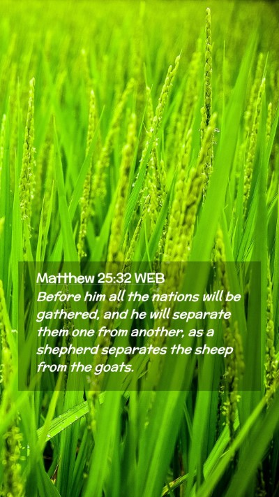 Picture 02 - Matthew 25:32 WEB Mobile Phone Wallpaper - Before him all the nations will be gathered, and - Mobile Bible Verse Wallpaper