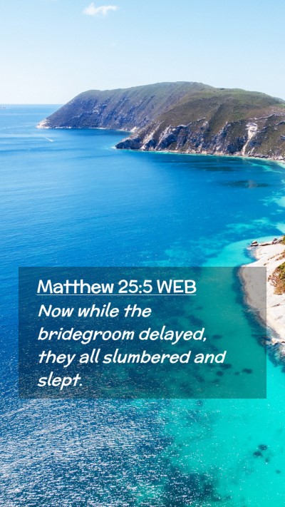 Picture 02 - Matthew 25:5 WEB Mobile Phone Wallpaper - Now while the bridegroom delayed, they all - Mobile Bible Verse Wallpaper