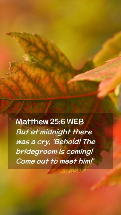 Picture 02 - Matthew 25:6 WEB Mobile Phone Wallpaper - But at midnight there was a cry, 'Behold! The - Mobile Bible Verse Wallpaper