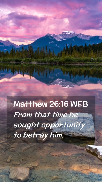 Picture 02 - Matthew 26:16 WEB Mobile Phone Wallpaper - From that time he sought opportunity to betray - Mobile Bible Verse Wallpaper
