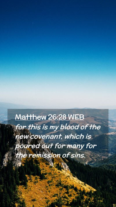 Picture 02 - Matthew 26:28 WEB Mobile Phone Wallpaper - for this is my blood of the new covenant, which - Mobile Bible Verse Wallpaper