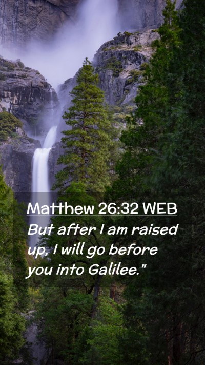 Picture 02 - Matthew 26:32 WEB Mobile Phone Wallpaper - But after I am raised up, I will go before you - Mobile Bible Verse Wallpaper
