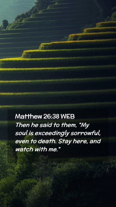 Picture 02 - Matthew 26:38 WEB Mobile Phone Wallpaper - Then he said to them, 