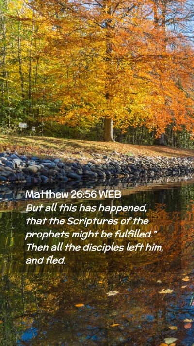 Picture 02 - Matthew 26:56 WEB Mobile Phone Wallpaper - But all this has happened, that the Scriptures of - Mobile Bible Verse Wallpaper