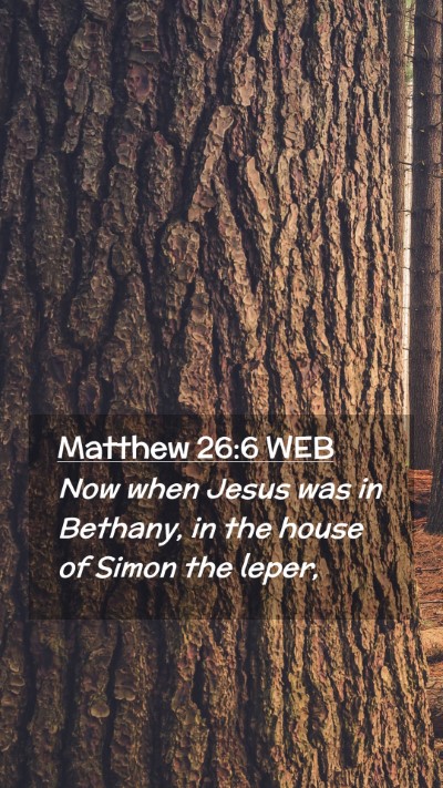 Picture 02 - Matthew 26:6 WEB Mobile Phone Wallpaper - Now when Jesus was in Bethany, in the house of - Mobile Bible Verse Wallpaper