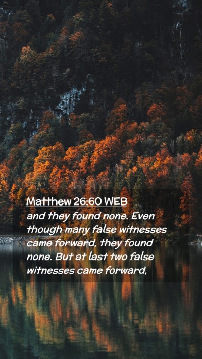 Picture 02 - Matthew 26:60 WEB Mobile Phone Wallpaper - and they found none. Even though many false - Mobile Bible Verse Wallpaper