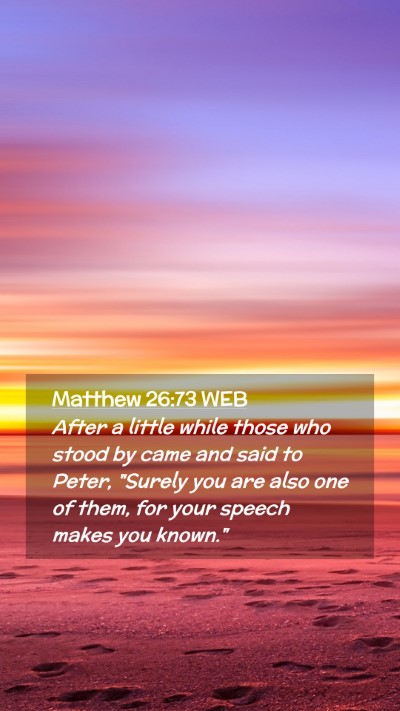 Picture 02 - Matthew 26:73 WEB Mobile Phone Wallpaper - After a little while those who stood by came and - Mobile Bible Verse Wallpaper