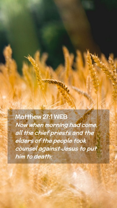 Picture 02 - Matthew 27:1 WEB Mobile Phone Wallpaper - Now when morning had come, all the chief priests - Mobile Bible Verse Wallpaper