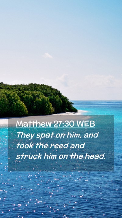 Picture 02 - Matthew 27:30 WEB Mobile Phone Wallpaper - They spat on him, and took the reed and struck - Mobile Bible Verse Wallpaper