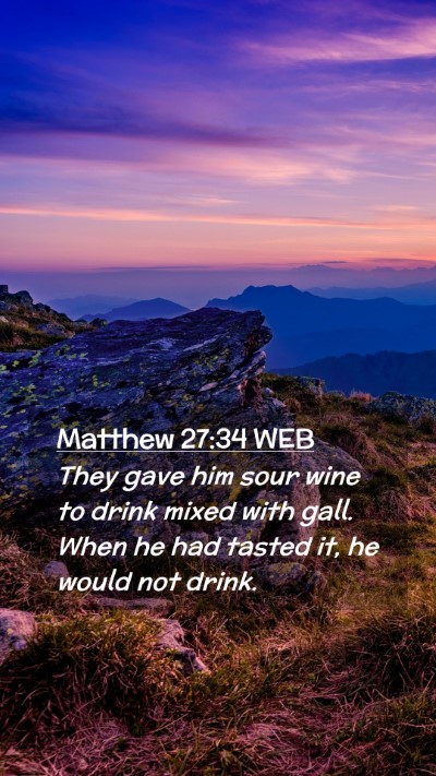Picture 02 - Matthew 27:34 WEB Mobile Phone Wallpaper - They gave him sour wine to drink mixed with gall. - Mobile Bible Verse Wallpaper