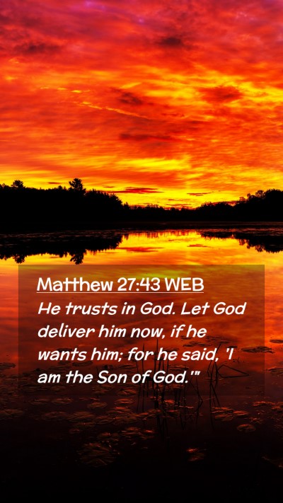 Picture 02 - Matthew 27:43 WEB Mobile Phone Wallpaper - He trusts in God. Let God deliver him now, if he - Mobile Bible Verse Wallpaper