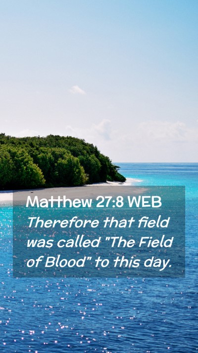 Picture 02 - Matthew 27:8 WEB Mobile Phone Wallpaper - Therefore that field was called 