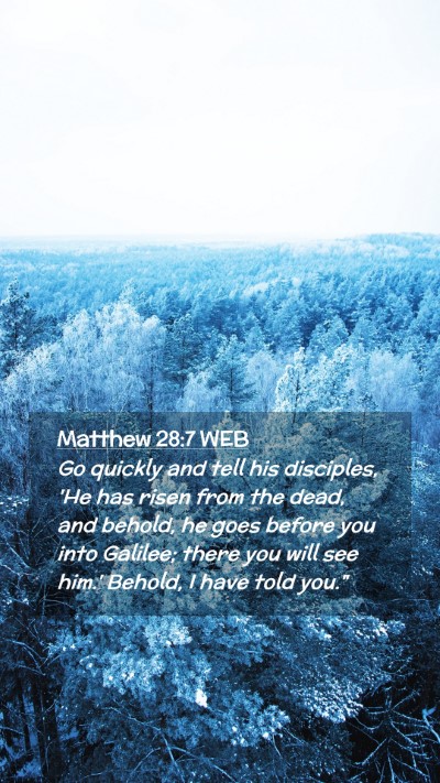 Picture 02 - Matthew 28:7 WEB Mobile Phone Wallpaper - Go quickly and tell his disciples, 'He has risen - Mobile Bible Verse Wallpaper
