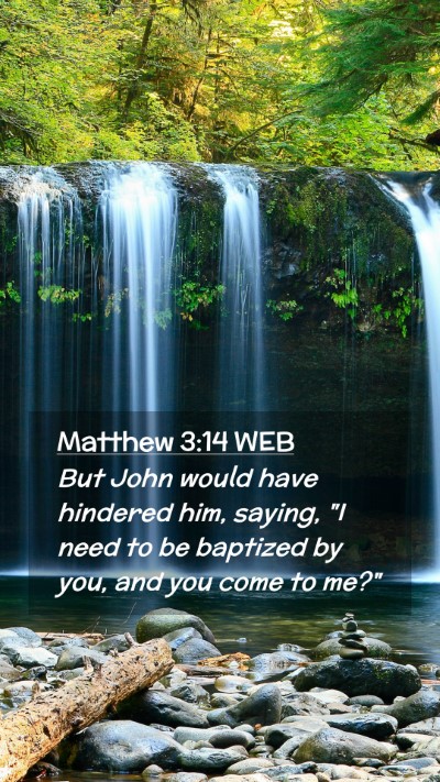 Picture 02 - Matthew 3:14 WEB Mobile Phone Wallpaper - But John would have hindered him, saying, 