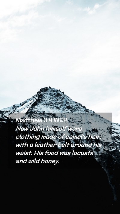 Picture 02 - Matthew 3:4 WEB Mobile Phone Wallpaper - Now John himself wore clothing made of camel's - Mobile Bible Verse Wallpaper