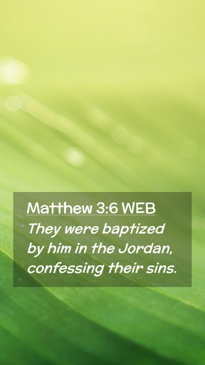 Picture 02 - Matthew 3:6 WEB Mobile Phone Wallpaper - They were baptized by him in the Jordan, - Mobile Bible Verse Wallpaper